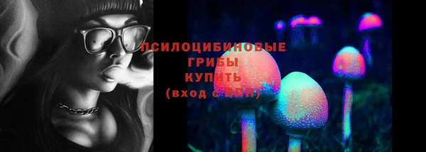 ECSTASY Алексин