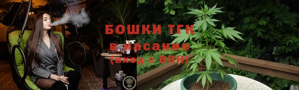 стафф Надым