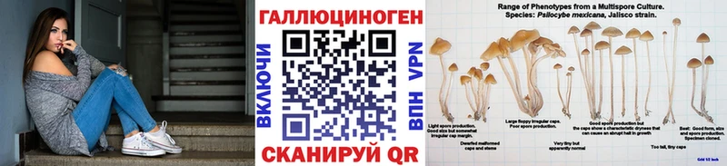 Галлюциногенные грибы MAGIC MUSHROOMS  KRAKEN зеркало  Фатеж 